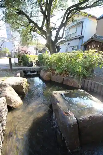 舎人氷川神社の庭園