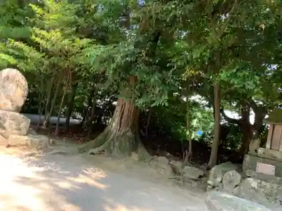 八重垣神社のその他建物