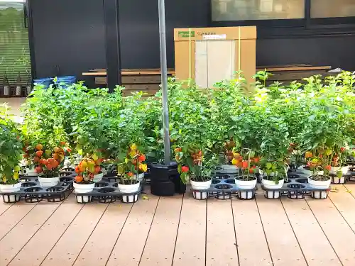 愛宕神社のその他建物