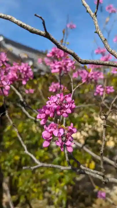 等持院(京都府)