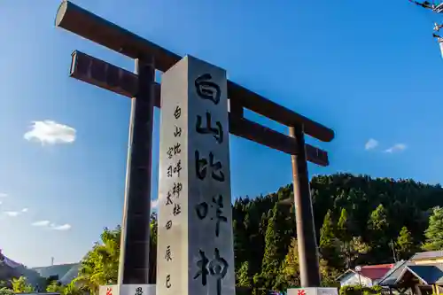 白山比咩神社の鳥居