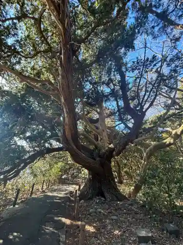 大瀬神社の{uncategorized: "未分類", other: "その他", undefined: "問題あり", building: "その他建物", grave: "お墓", sacred_gate: "鳥居", guardian: "狛犬", statue: "像", buddha: "仏像", history: "歴史", nature: "自然", garden: "庭園", animal: "動物", pagoda: "塔", temizu: "手水舎", mountain_gate: "山門・神門", sanctuary: "本殿・本堂", subordinate: "末社・摂社", art: "芸術", scenery: "景色", jizo: "地蔵", ema: "絵馬", goshuin: "御朱印", omikuji: "おみくじ", items: "授与品その他", amulet: "お守り", goshuincho: "御朱印帳", eats: "食事", festival: "お祭り", votive_dance: "神楽", shichigosan: "七五三参", wedding: "結婚式", experience: "体験その他", initially: "初詣", around: "周辺", anti_infection: "感染症対策"}