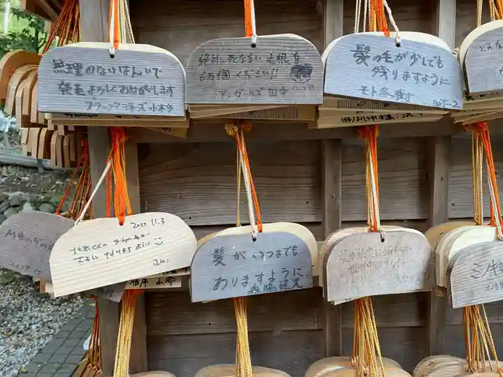 御髪神社の絵馬