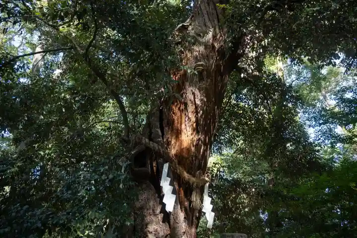 賀茂御祖神社(下鴨神社)(京都府)