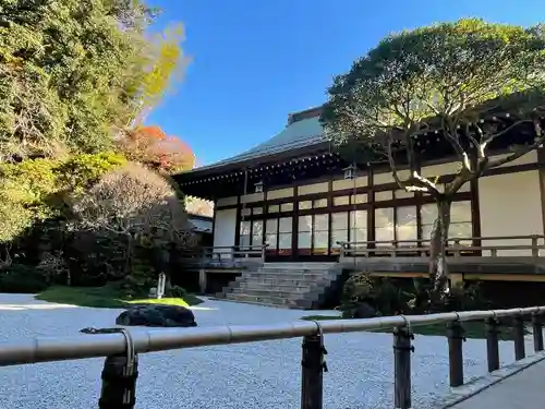 報国寺の庭園