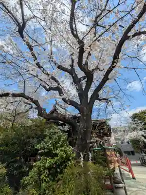 三谷八幡神社(東京都)