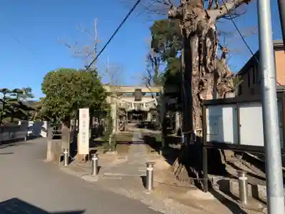 若宮八幡神社(千葉県)