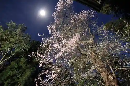 田村神社の自然