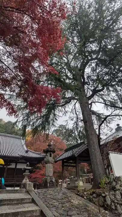 宝積寺(京都府)