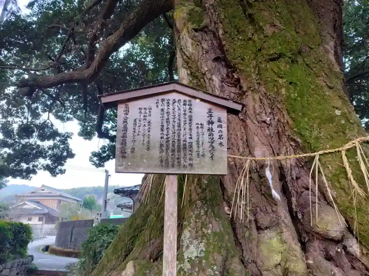 王子神社の{uncategorized: "未分類", other: "その他", undefined: "問題あり", building: "その他建物", grave: "お墓", sacred_gate: "鳥居", guardian: "狛犬", statue: "像", buddha: "仏像", history: "歴史", nature: "自然", garden: "庭園", animal: "動物", pagoda: "塔", temizu: "手水舎", mountain_gate: "山門・神門", sanctuary: "本殿・本堂", subordinate: "末社・摂社", art: "芸術", scenery: "景色", jizo: "地蔵", ema: "絵馬", goshuin: "御朱印", omikuji: "おみくじ", items: "授与品その他", amulet: "お守り", goshuincho: "御朱印帳", eats: "食事", festival: "お祭り", votive_dance: "神楽", shichigosan: "七五三参", wedding: "結婚式", experience: "体験その他", initially: "初詣", around: "周辺", anti_infection: "感染症対策"}