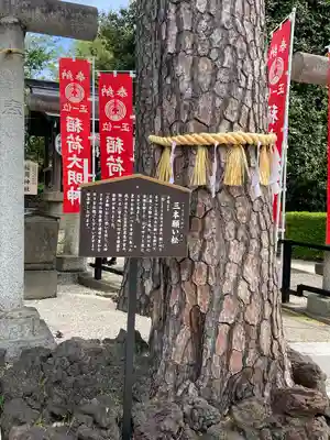 中野沼袋氷川神社(東京都)
