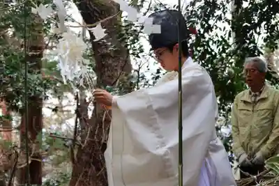 八幡神社のお祭り