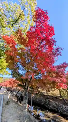 夫婦大國社（春日大社末社）(奈良県)