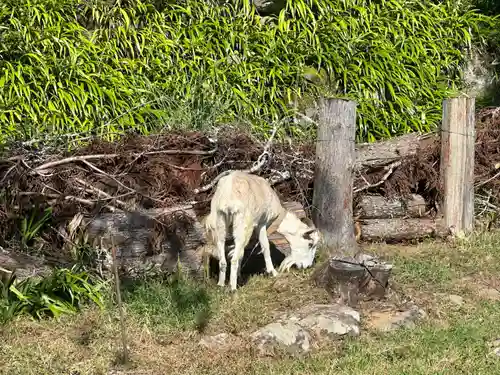 嶽之下宮(静岡県)