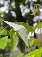 若宮神明社(愛知県)