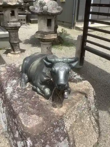 黒野天神社の狛犬