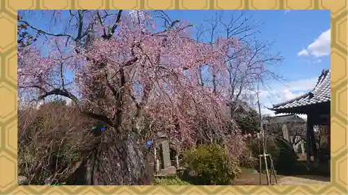 境香取神社(茨城県)