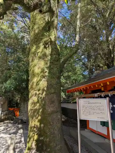 熊野速玉大社(和歌山県)