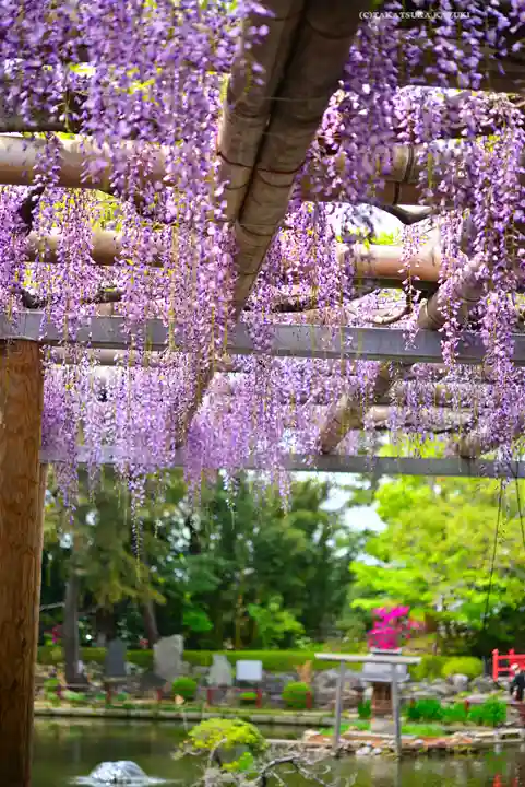 越ヶ谷久伊豆神社(埼玉県)