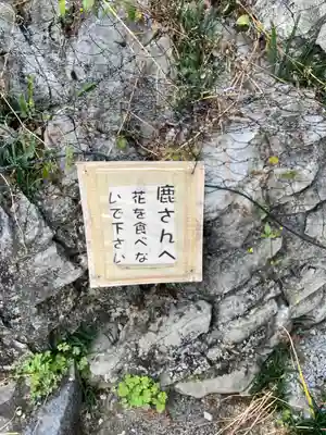 金生山 明星輪寺(岐阜県)