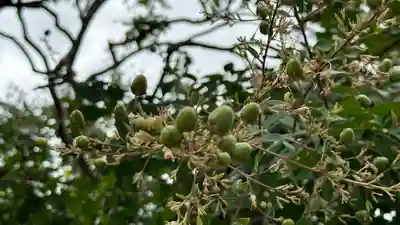 延命寺(宮城県)