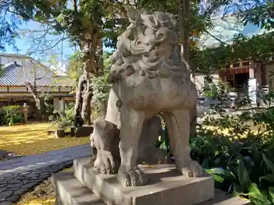 奥澤神社の狛犬