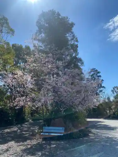 天津神明宮の{uncategorized: "未分類", other: "その他", undefined: "問題あり", building: "その他建物", grave: "お墓", sacred_gate: "鳥居", guardian: "狛犬", statue: "像", buddha: "仏像", history: "歴史", nature: "自然", garden: "庭園", animal: "動物", pagoda: "塔", temizu: "手水舎", mountain_gate: "山門・神門", sanctuary: "本殿・本堂", subordinate: "末社・摂社", art: "芸術", scenery: "景色", jizo: "地蔵", ema: "絵馬", goshuin: "御朱印", omikuji: "おみくじ", items: "授与品その他", amulet: "お守り", goshuincho: "御朱印帳", eats: "食事", festival: "お祭り", votive_dance: "神楽", shichigosan: "七五三参", wedding: "結婚式", experience: "体験その他", initially: "初詣", around: "周辺", anti_infection: "感染症対策"}