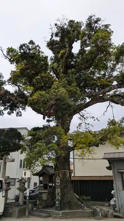 櫟谷七野神社(京都府)
