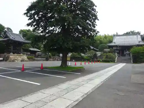 妙蓮寺のその他建物