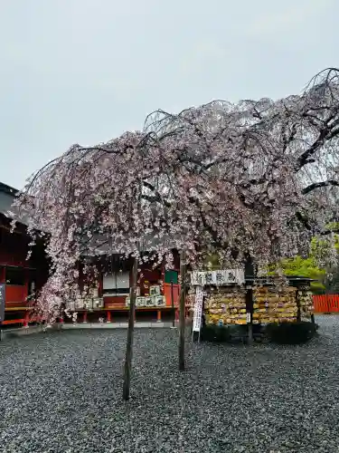 富士山本宮浅間大社の{uncategorized: "未分類", other: "その他", undefined: "問題あり", building: "その他建物", grave: "お墓", sacred_gate: "鳥居", guardian: "狛犬", statue: "像", buddha: "仏像", history: "歴史", nature: "自然", garden: "庭園", animal: "動物", pagoda: "塔", temizu: "手水舎", mountain_gate: "山門・神門", sanctuary: "本殿・本堂", subordinate: "末社・摂社", art: "芸術", scenery: "景色", jizo: "地蔵", ema: "絵馬", goshuin: "御朱印", omikuji: "おみくじ", items: "授与品その他", amulet: "お守り", goshuincho: "御朱印帳", eats: "食事", festival: "お祭り", votive_dance: "神楽", shichigosan: "七五三参", wedding: "結婚式", experience: "体験その他", initially: "初詣", around: "周辺", anti_infection: "感染症対策"}