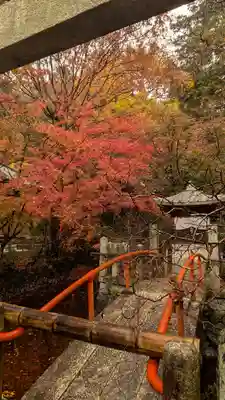 宝積寺(京都府)