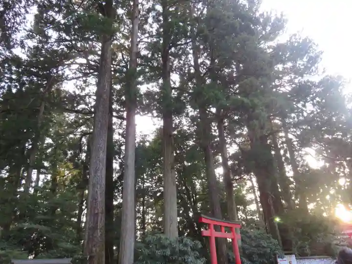 箱根神社(神奈川県)