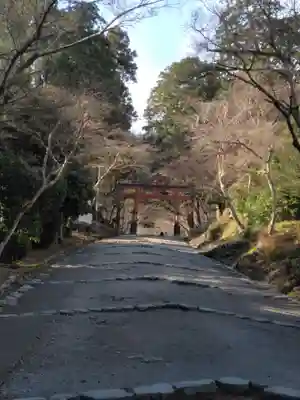 日吉大社(滋賀県)
