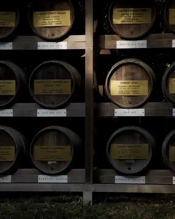 明治神宮(東京都)