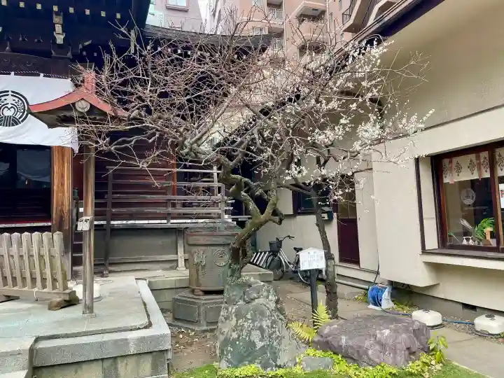 千束稲荷神社の{uncategorized: "未分類", other: "その他", undefined: "問題あり", building: "その他建物", grave: "お墓", sacred_gate: "鳥居", guardian: "狛犬", statue: "像", buddha: "仏像", history: "歴史", nature: "自然", garden: "庭園", animal: "動物", pagoda: "塔", temizu: "手水舎", mountain_gate: "山門・神門", sanctuary: "本殿・本堂", subordinate: "末社・摂社", art: "芸術", scenery: "景色", jizo: "地蔵", ema: "絵馬", goshuin: "御朱印", omikuji: "おみくじ", items: "授与品その他", amulet: "お守り", goshuincho: "御朱印帳", eats: "食事", festival: "お祭り", votive_dance: "神楽", shichigosan: "七五三参", wedding: "結婚式", experience: "体験その他", initially: "初詣", around: "周辺", anti_infection: "感染症対策"}