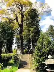 臼杵神社の自然