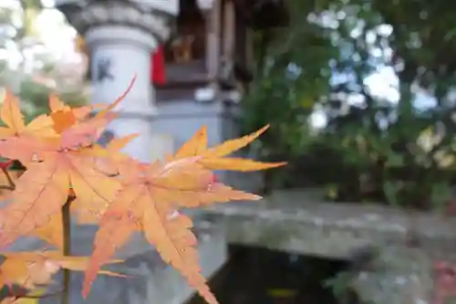 萱野神社の景色