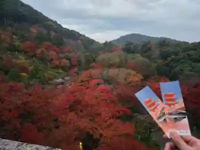 清水寺(京都府)
