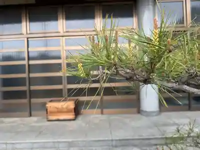 西方山極楽寺(岐阜県)