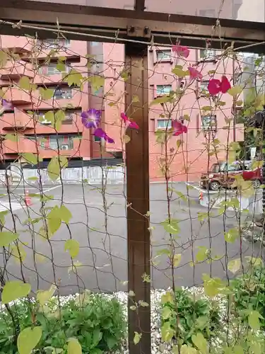 仙台大神宮の庭園