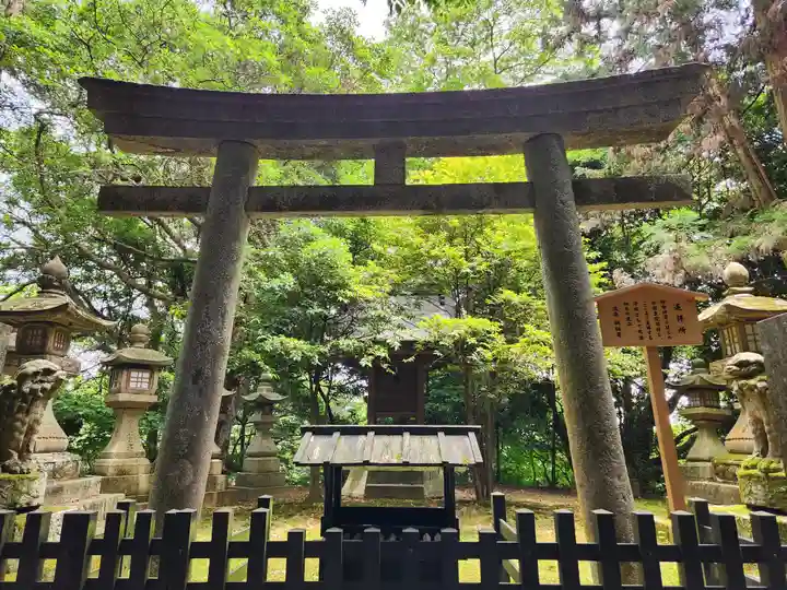 金刀比羅宮の鳥居