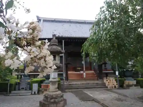 大蔵院(群馬県)