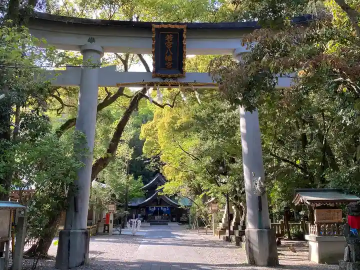 若宮八幡宮(高知県)