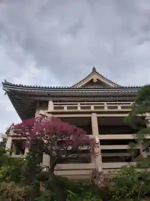 東長谷寺　薬王院(東京都)