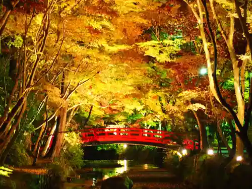 小國神社の庭園