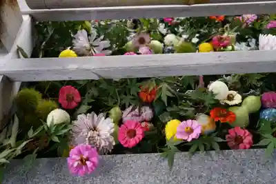 豊景神社の手水舎