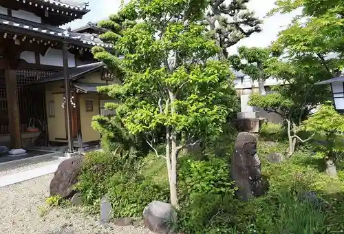 大松禅寺の庭園