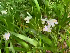 岡太神社の自然