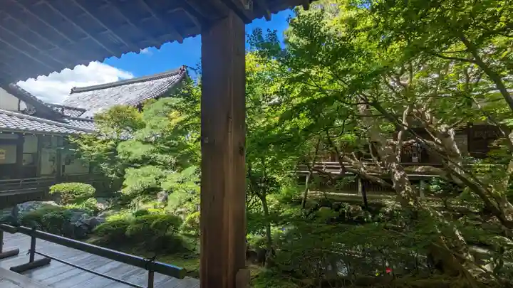 禅林寺(永観堂)(京都府)