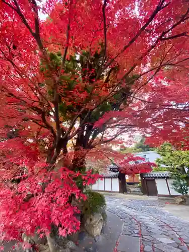 月橋院(京都府)